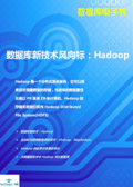 Hadoop技术