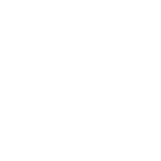 HuaWei logo